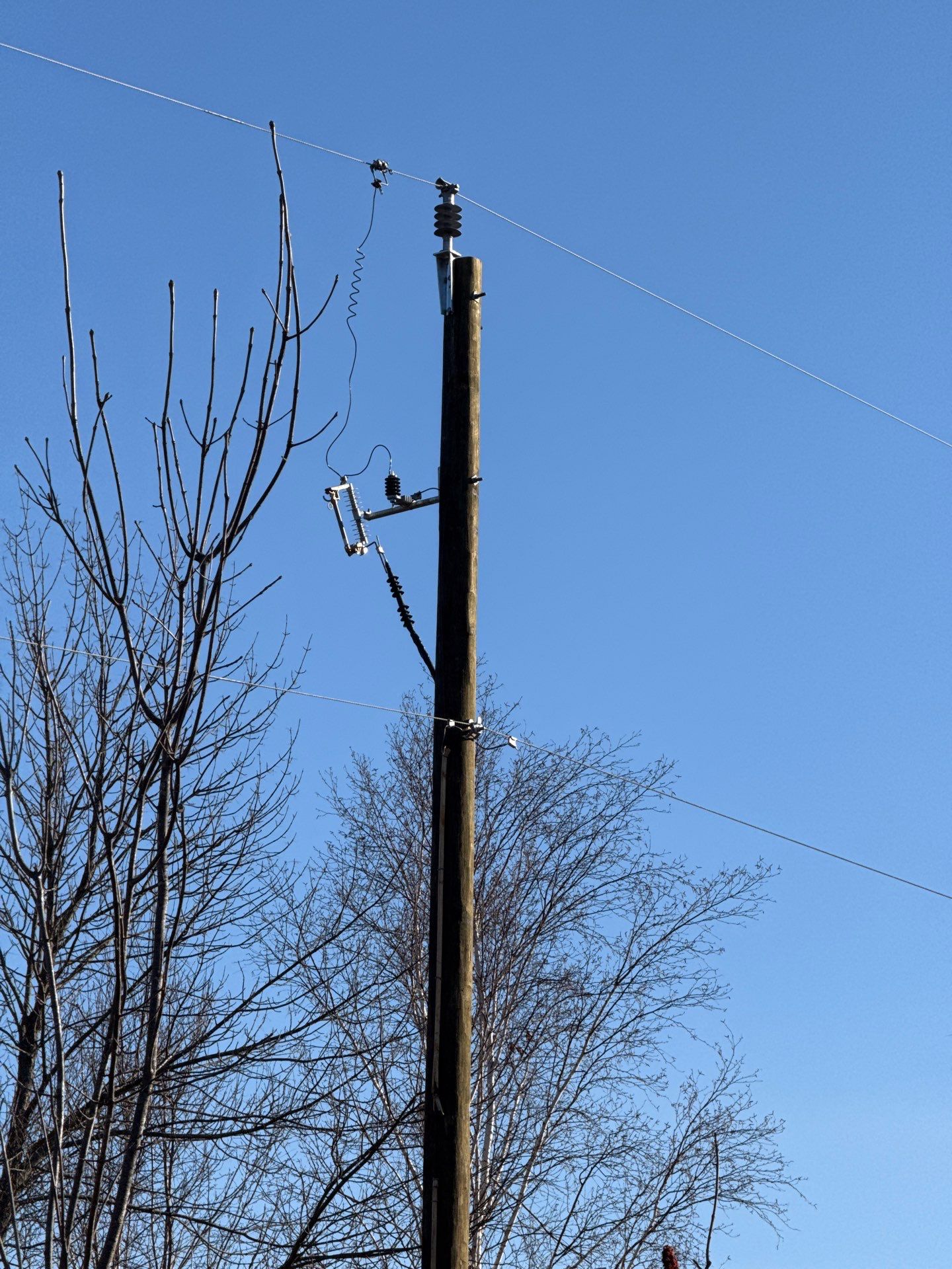 Wooden private hydro pole and overhead service context on rural property