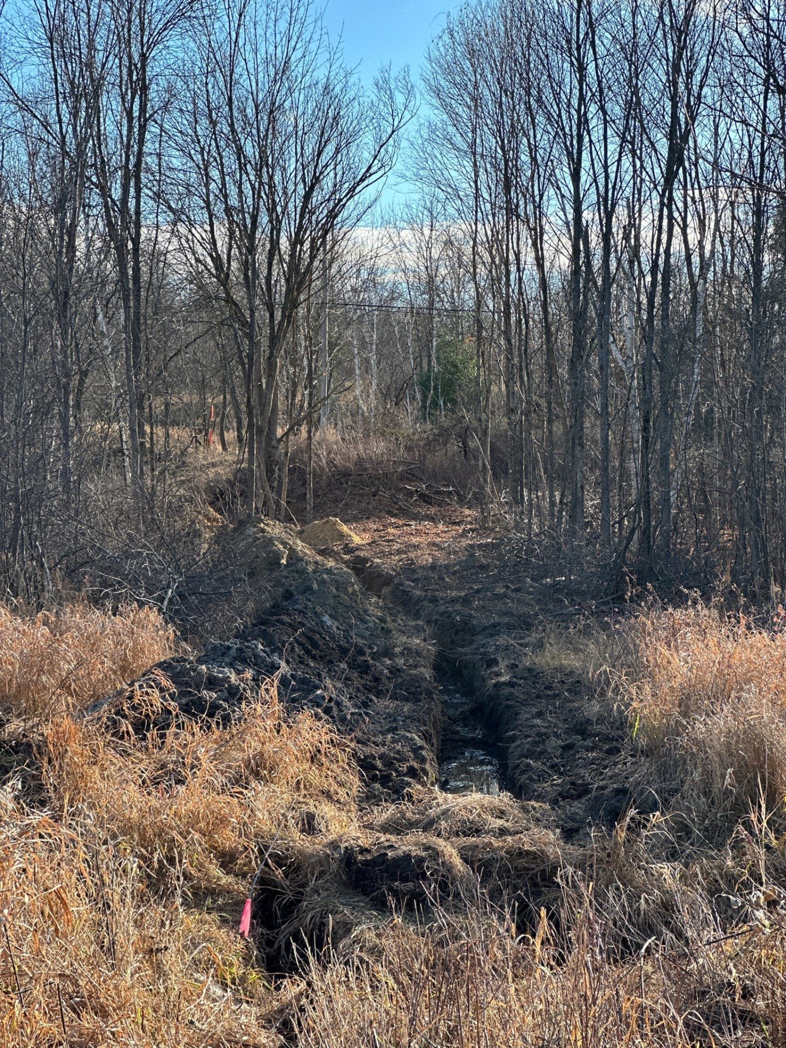 Underground service trench routed through wooded rural terrain