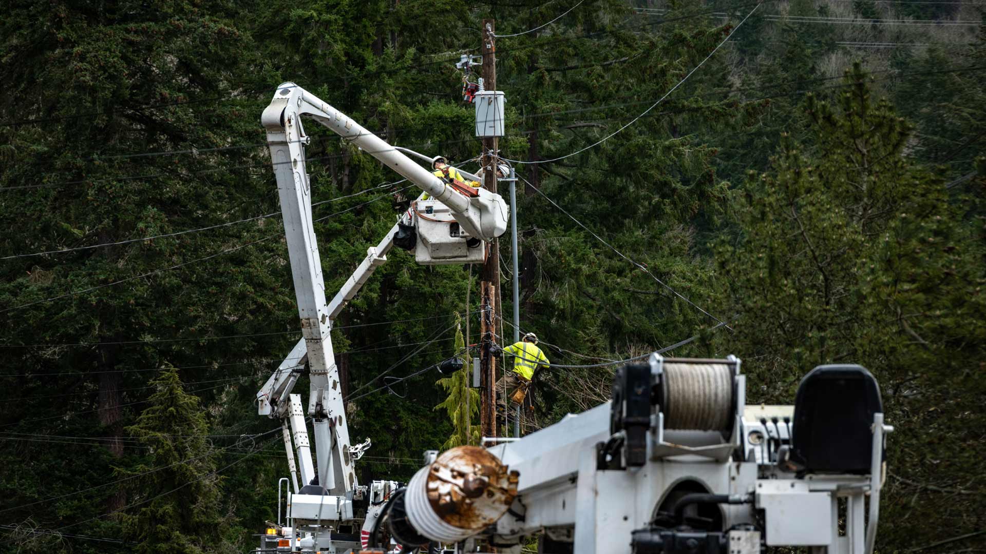 Utility crew working on a wooden hydro pole in a wooded rural property setting